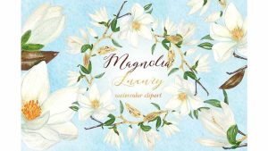 دانلود کلیپ آرت آبرنگی گل سفید Magnolia white luxury illustrations