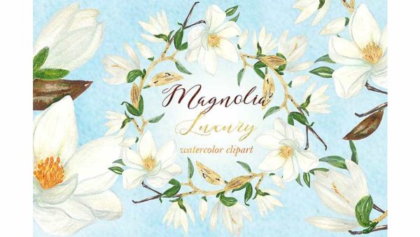 دانلود کلیپ آرت آبرنگی گل سفید Magnolia white luxury illustrations