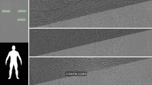 دانلود تکسچر ساق پای مرد 30 ساله از Texturing xyz