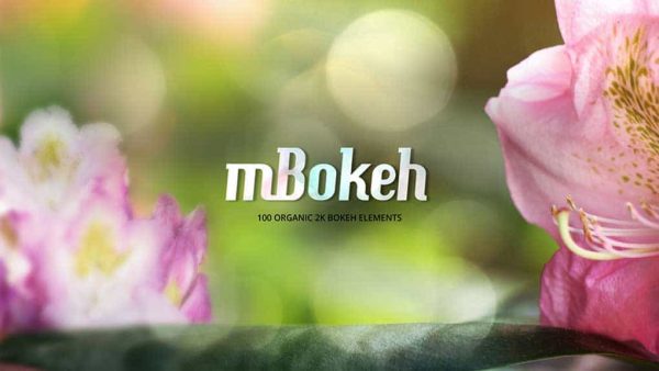 دانلود فوتیج بوکه MotionVFX – mBokeh 2K