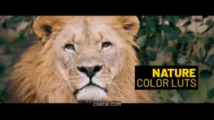دانلود پریست رنگ طبیعت Nature LUTs
