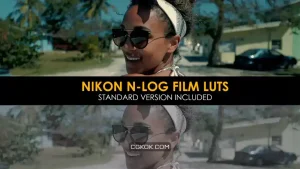 دانلود 20 پریست اصلاح رنگ افترافکت Nikon N-Log Film And Standard Luts