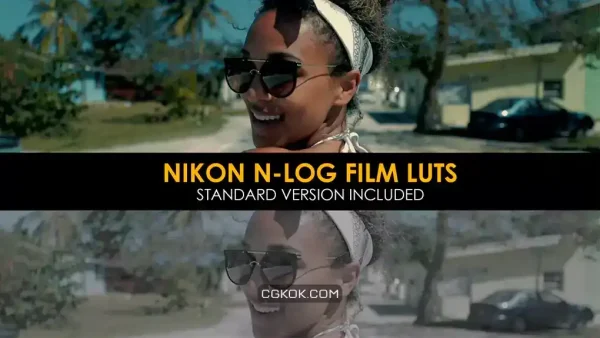 دانلود 20 پریست اصلاح رنگ افترافکت Nikon N-Log Film And Standard Luts