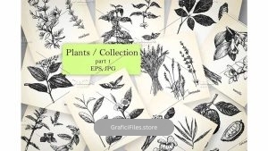 دانلود کلیپ آرت گل و گیاه Plants / Collection