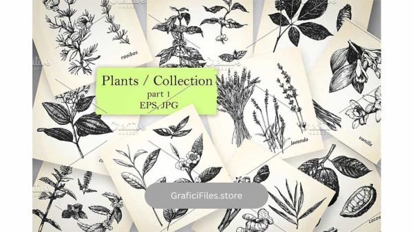 دانلود کلیپ آرت گل و گیاه Plants / Collection