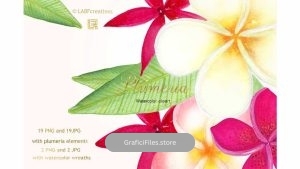 دانلود کلیپ آرت گل های گرمسیری Plumeria Tropical watercolor flowers
