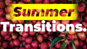 دانلود پریست آماده ترنزیشن برای افترافکت – Summer Transitions