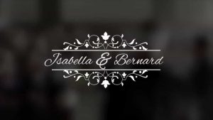 پروژه آماده تایتل عروسی برای پریمیر Wedding Titles