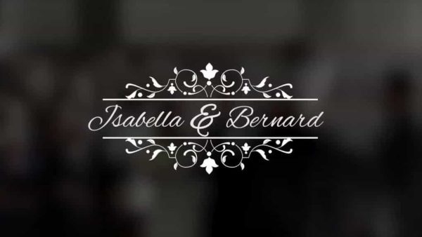 پروژه آماده تایتل عروسی برای پریمیر Wedding Titles