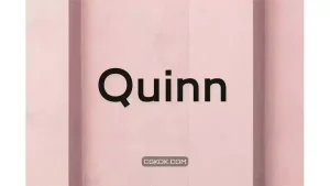 دانلود فونت انگلیسی مدرن Quinn – A minimal sans serif