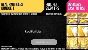 دانلود فوتیج ذرات معلق Real Particles Bundle 1- Soft Particles