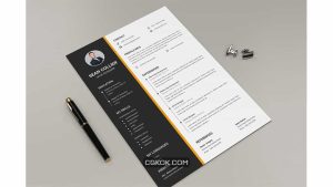 دانلود قالب آماده ورد رزومه Resume Microsoft Word