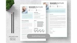 دانلود قالب آماده ورد رزومه Resume Word 2