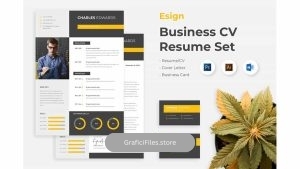 دانلود قالب آماده ورد رزومه Esigns – Business Clean Resume CV Set