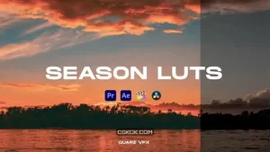 دانلود پریست رنگ Season LUTs Color Presets