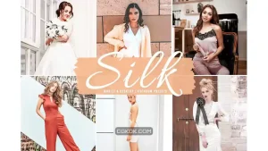 دانلود پریست لایت روم و فتوشاپ به همراه اکشن فتوشاپ Silk Mobile & Desktop Lightroom Presets