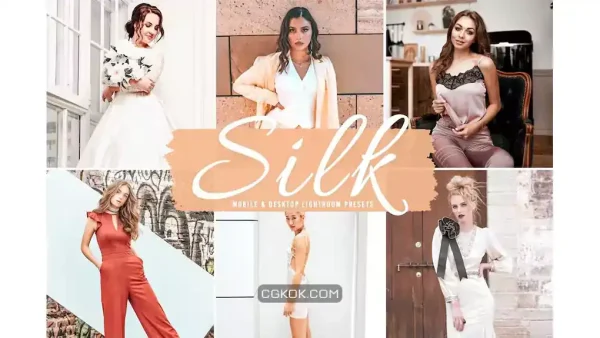 دانلود پریست لایت روم و فتوشاپ به همراه اکشن فتوشاپ Silk Mobile & Desktop Lightroom Presets