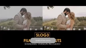 دانلود پریست پریمیر رنگ فیلم عروسی Slog3 Film Wedding And Standard Luts