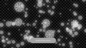 دانلود فوتیج بارش برف Snowflake Falling Winter
