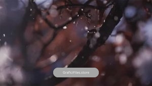فوتیج اسلوموشن بارش برف بر روی شاخ درخت Snowflakes On Branches Slow Motion