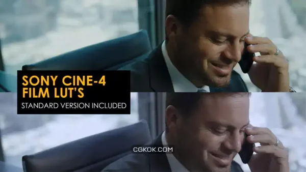 دانلود 24 پریست افترافکت رنگ فیلم Sony Cine-4 Film And Standard Luts