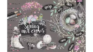 دانلود طرح لایه باز بهار و کلاغ Spring & crows bundle