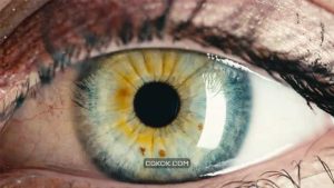 فوتیج چشمان آبی خیره کننده زن Stunning Female Blue Eyes