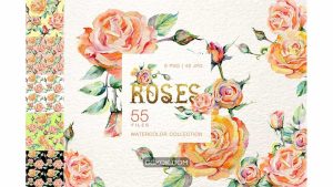 دانلود کلیپ آرت آبرنگی گل رز Stylish Rose Watercolor Png