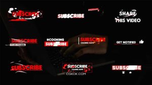 پروژه فاینال کات پرو زیرنویس سابسکرایب یوتیوب Stylish Subscribe Lower Thirds