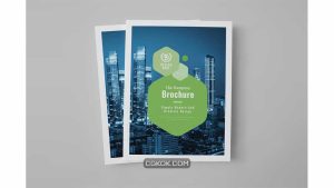 دانلود قالب ایندیزاین بروشور The Brochure