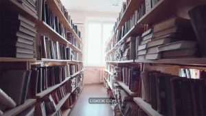فوتیج کتابخانه The Library