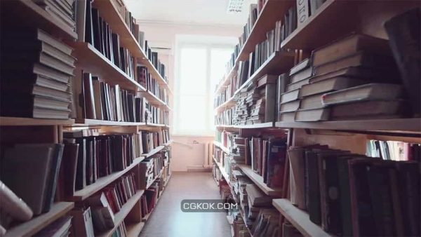 فوتیج کتابخانه The Library