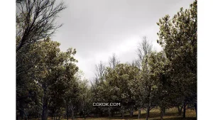 دانلود آبجکت درخت ولوم 1