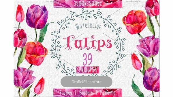 دانلود کلیپ آرت آبرنگی گل لاله Tulips PNG watercolor flower set