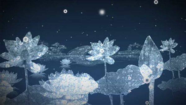 دانلود فوتیج گل های آبی Water Flowers