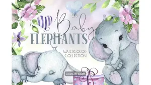 دانلود کلیپ آرت بچه فیل Watercolor Baby Elephants