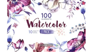 دانلود کلیپ آرت گل آبرنگی Watercolor Flowers Pack