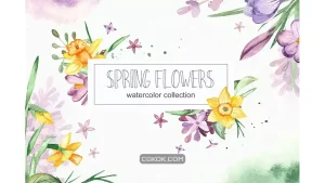 دانلود کلیپ آرت گل بهاری آبرنگی Watercolor spring flowers collection
