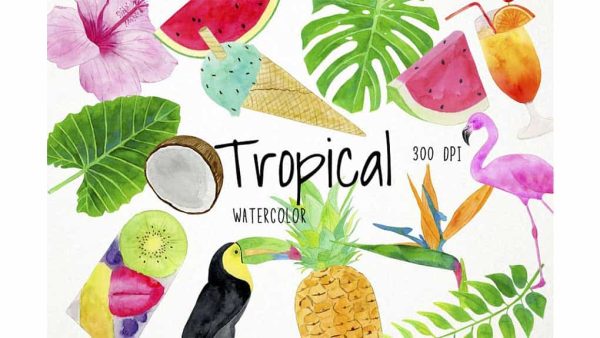 دانلود کلیپ آرت میوه های گرمسیری Watercolor Tropical Clipart