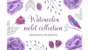 دانلود کلیپ آرت آبرنگی گل بنفش Watercolor violet collection