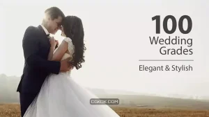 دانلود پریست افترافکت اصلاح رنگ عروسی Wedding Color Corrections