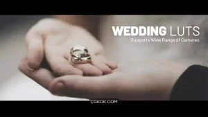 دانلود پریست رنگ عروسی Wedding LUTs
