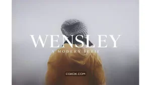 دانلود فونت انگلیسی Wensley Modern Serif Font Family