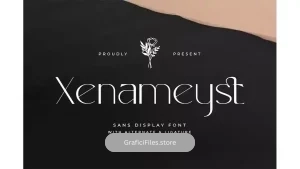 دانلود فونت انگلیسی Xenameyst – Sans Display Font