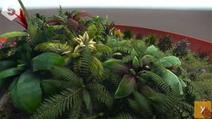 دانلود پروژه Yughues Bushes & Weeds برای یونیتی